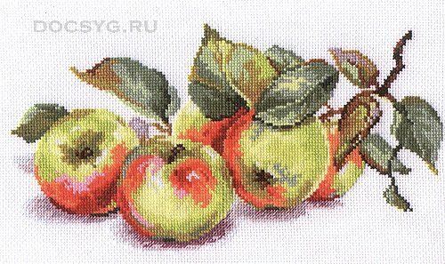 схема вышивки яблоки