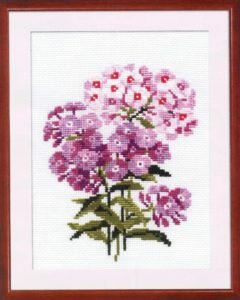 Схема вышивки Флоксы