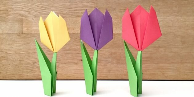 paper-flowers_1518002226-e1518002274186-630x315